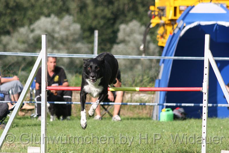 gluehwuermchen08 094 (156).jpg